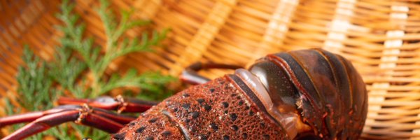 shrimp_hip Profile Banner