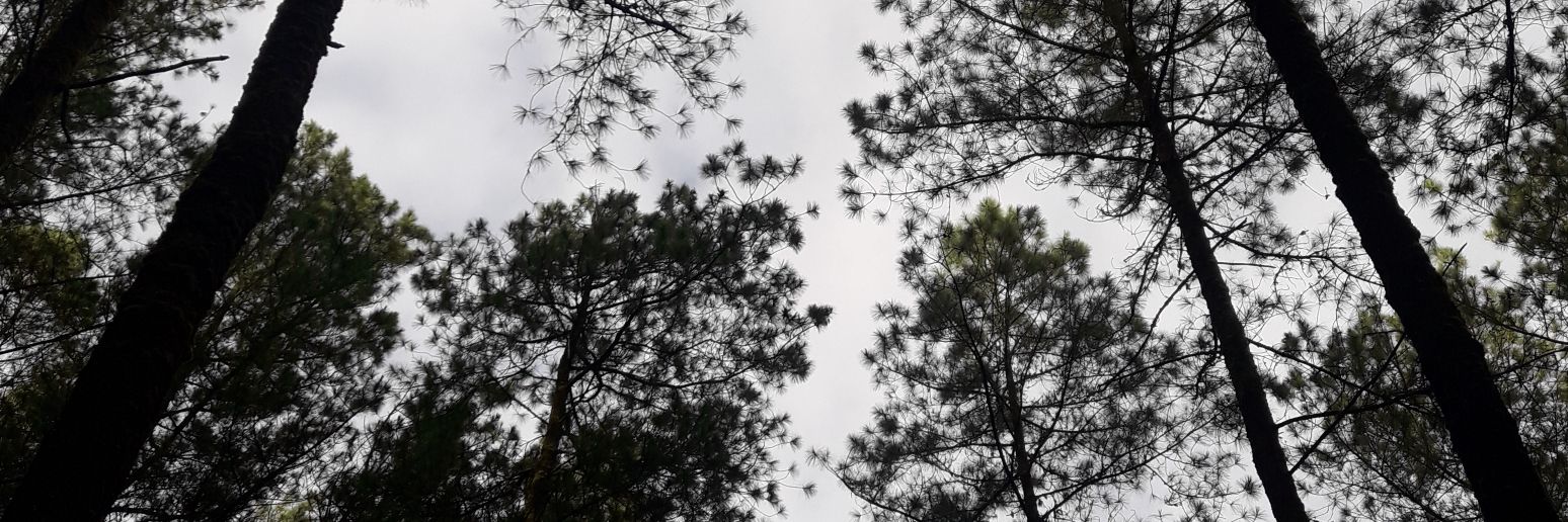 skrrrtpul0's profile banner image