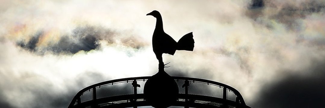 danishspurs's profile banner image