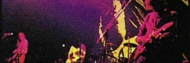 🦡 the sepia badger 🦡 banner