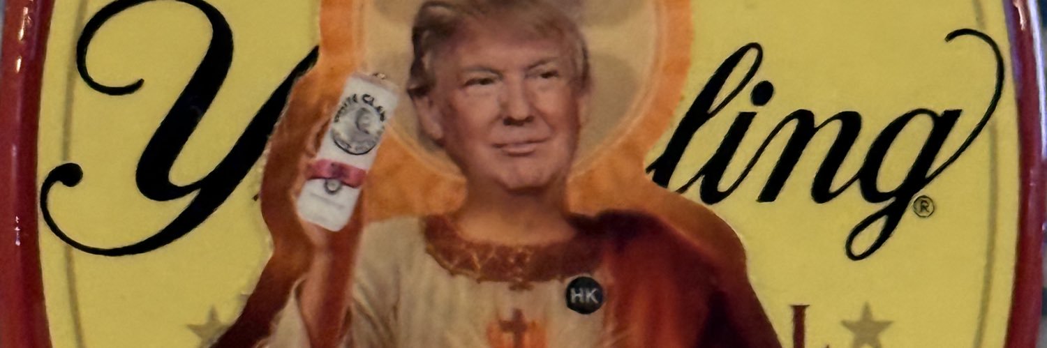 LowPro Patriot 🇺🇸 banner