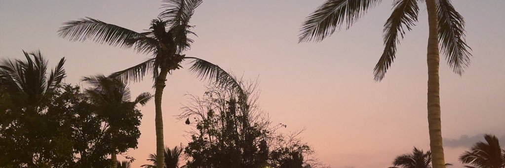 عزيز 🇸🇦 banner