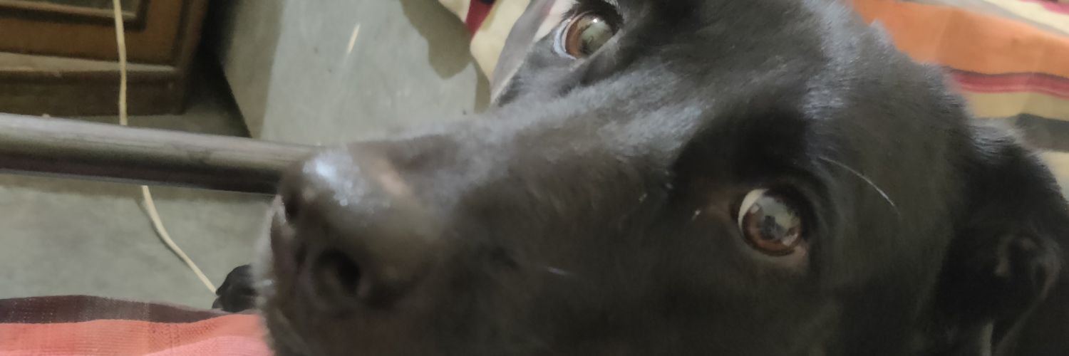being_human1975's profile banner image