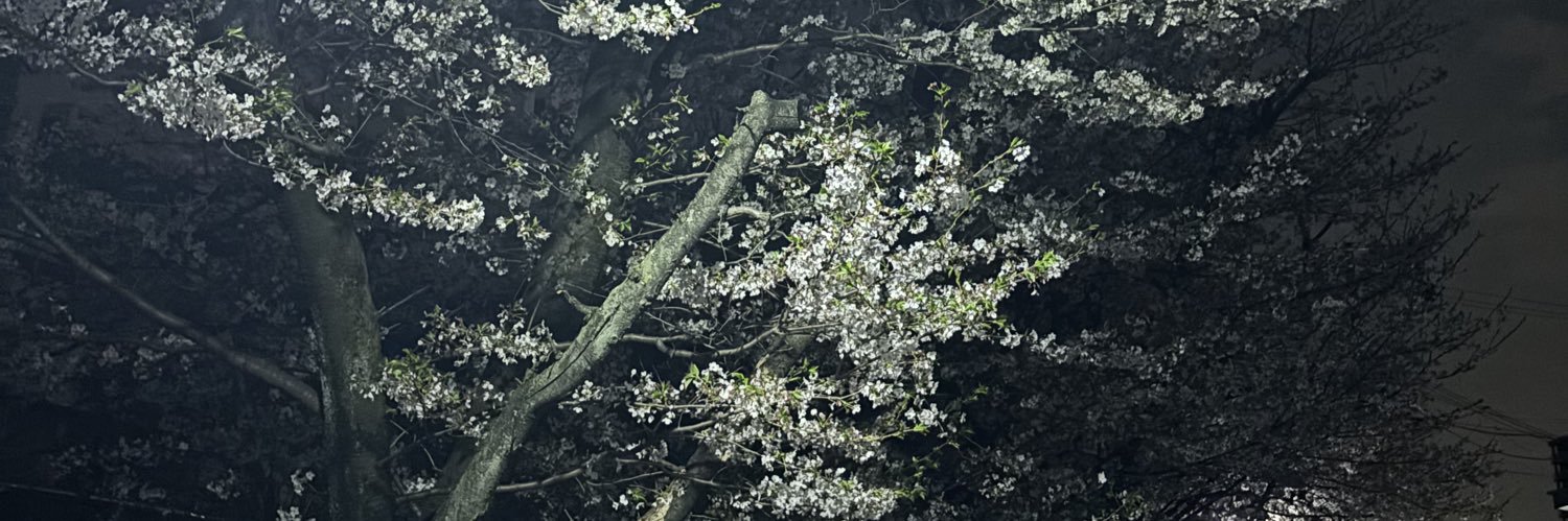 crocodile_ez's profile banner image