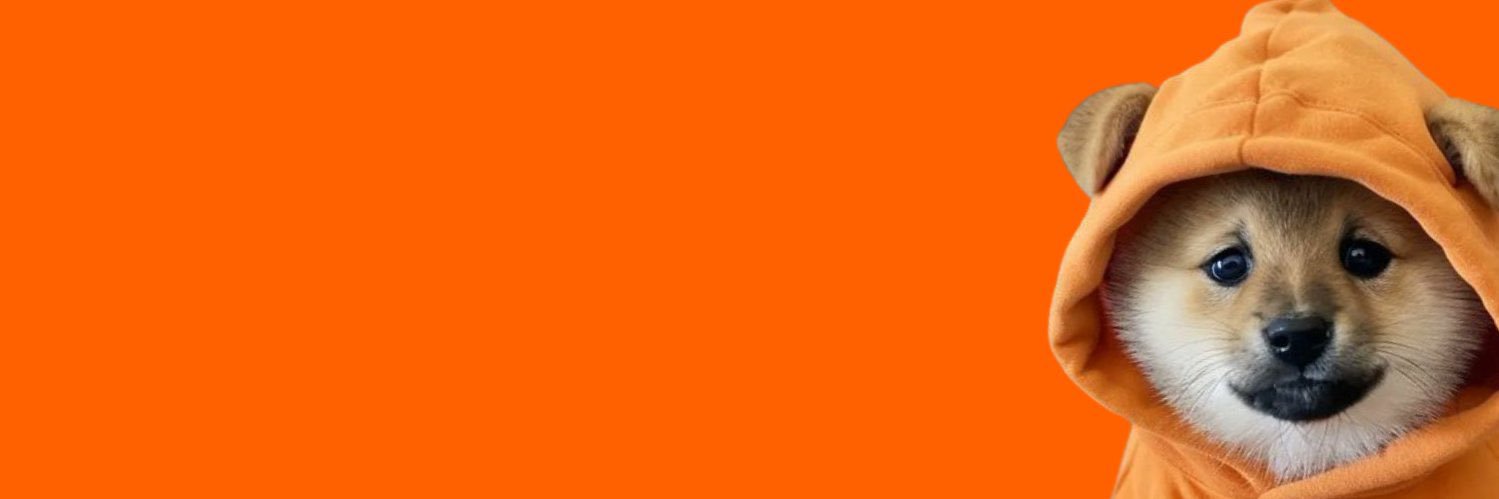 Sabio 🧡 $DOG's banner