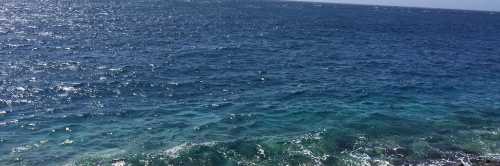 escarlataaa's profile banner image