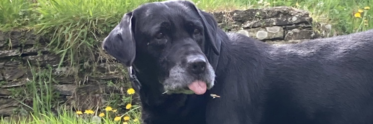 Mr Eugene Mackin Sir banner