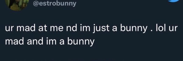 THEBUNNIESTBOO Profile Banner