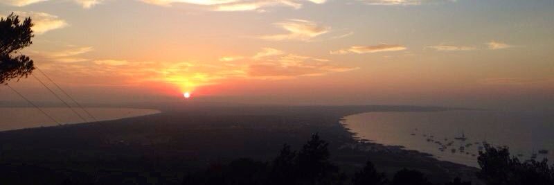 Alberto Allevi banner