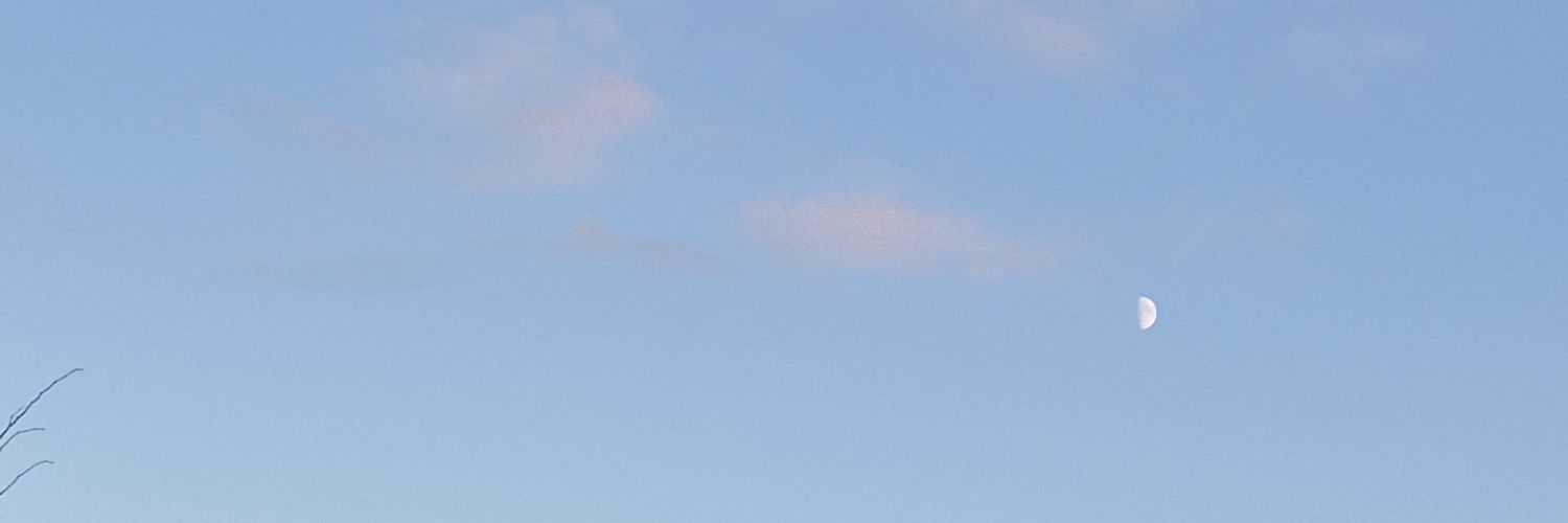 Le Ju🎃🔪 banner