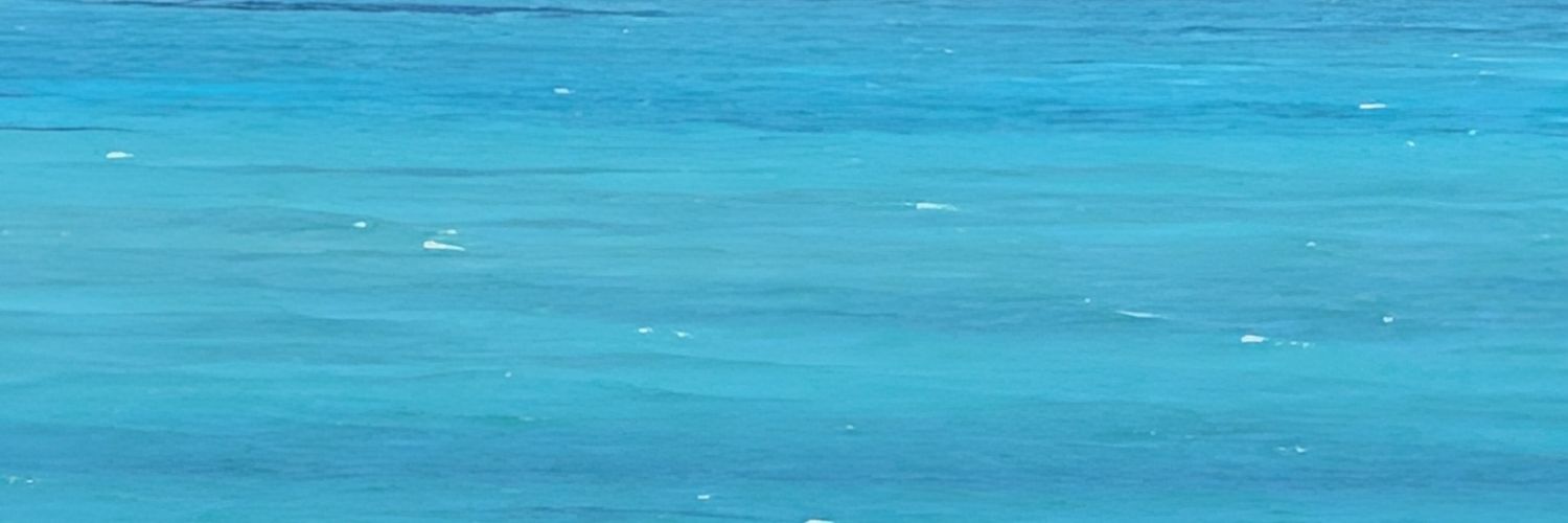 k15153979's profile banner image