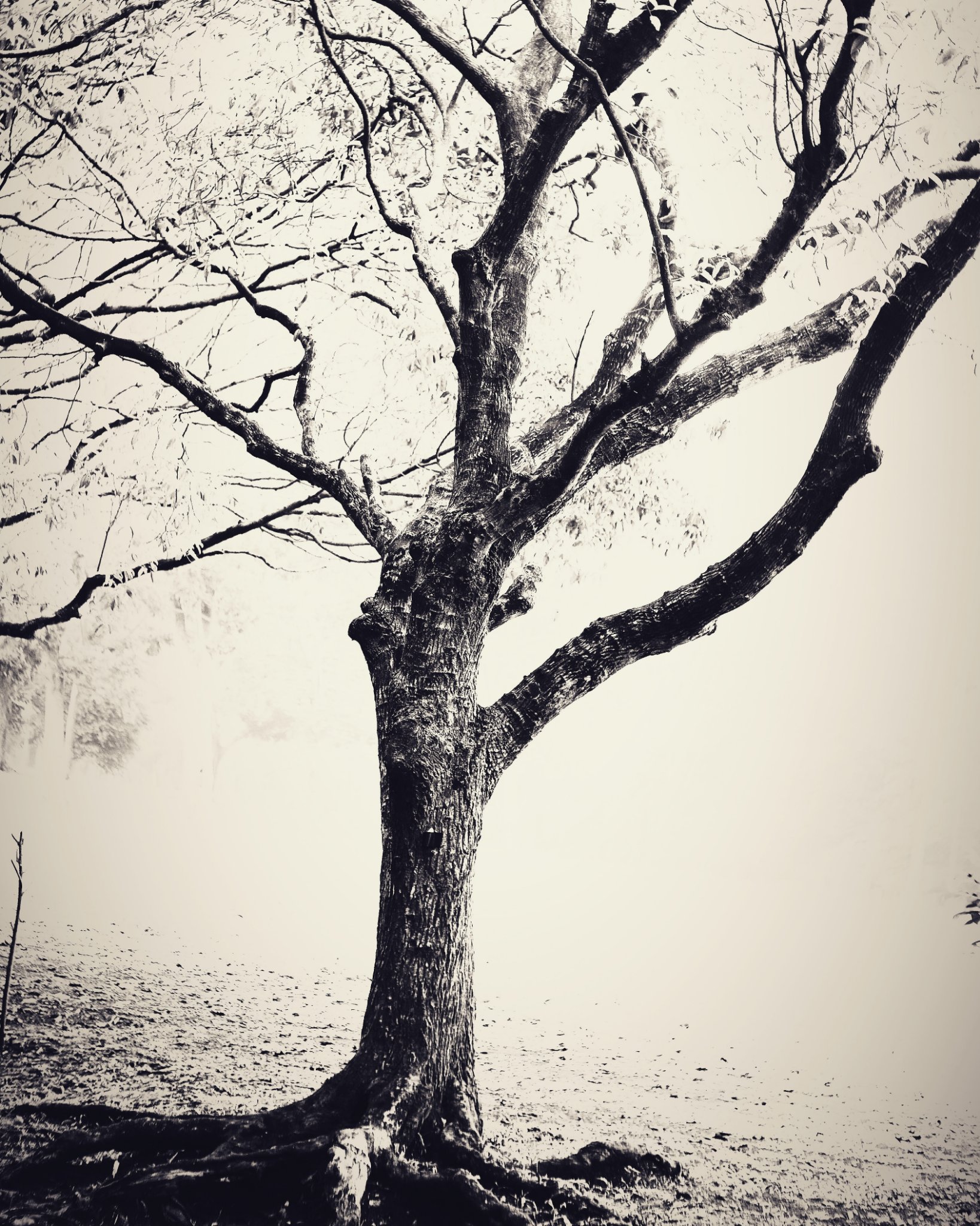 DeonKolang's profile banner image