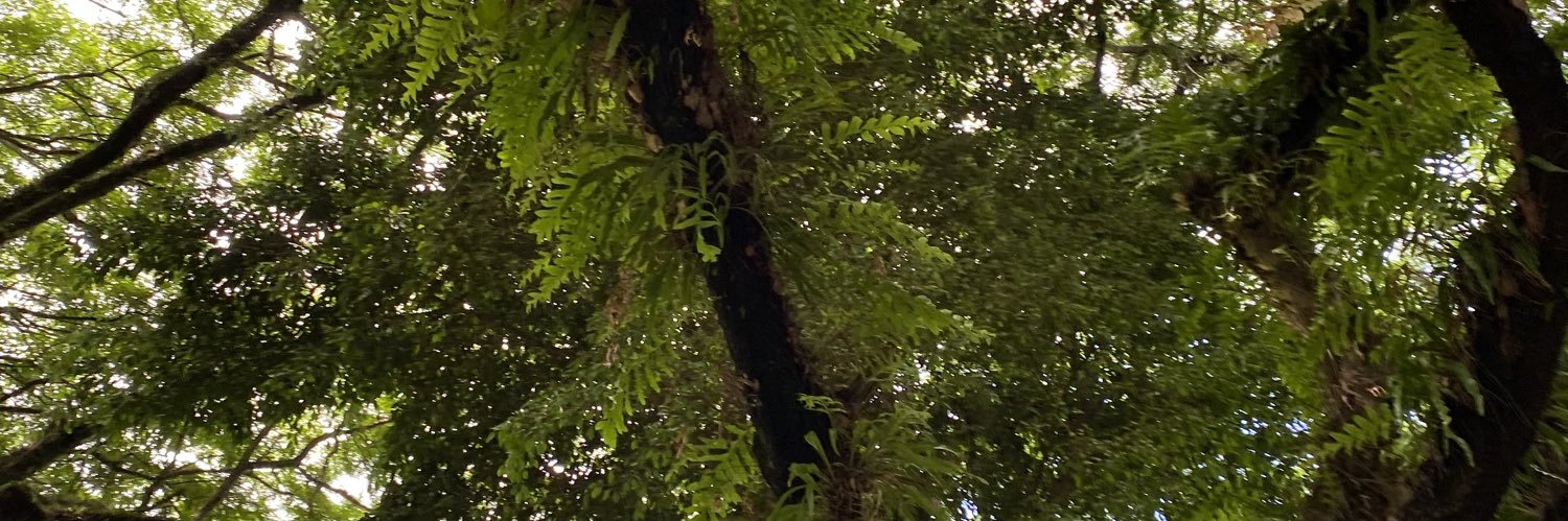 L13W4's profile banner image