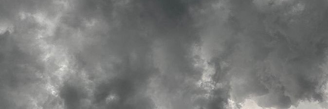 mimi banner
