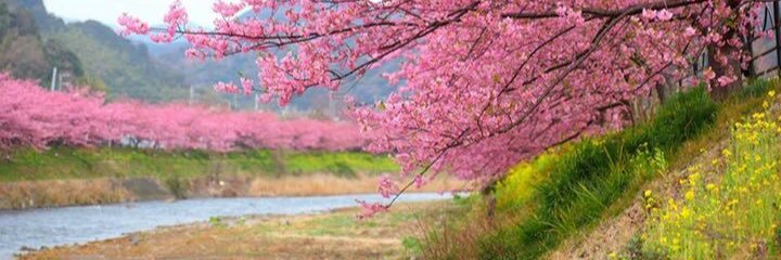 Hengky Efendy banner