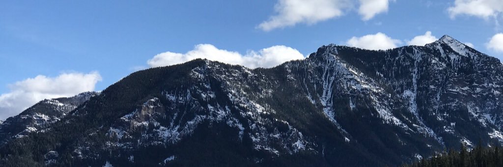 ReidHarris19's profile banner image