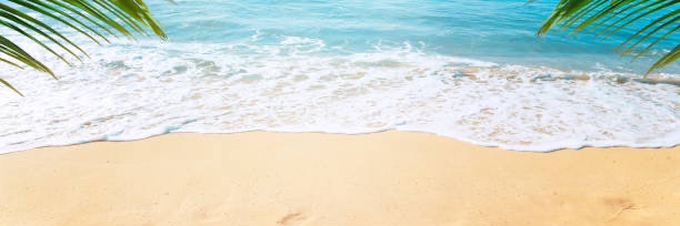 julialynne2's profile banner image