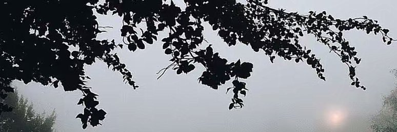 Sla banner