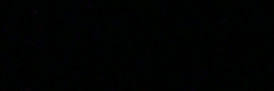 lícia 🌺 banner