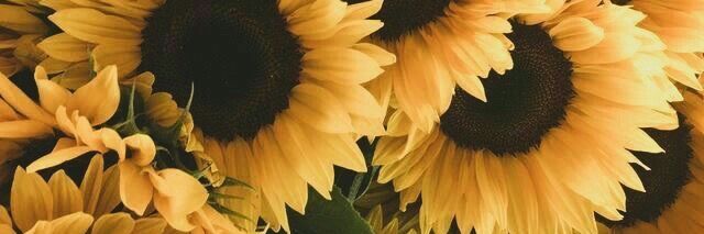febbyfitrian's profile banner image