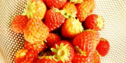 JS_MasakiS's profile banner image