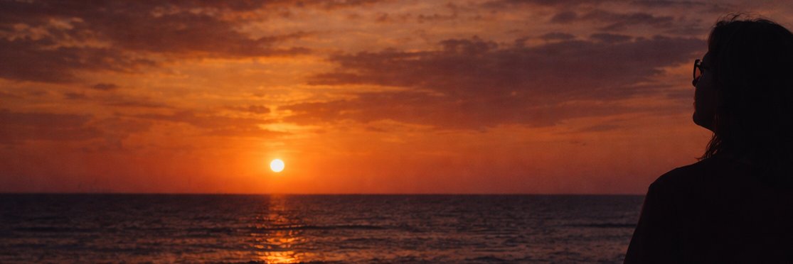 didilionrich's profile banner image