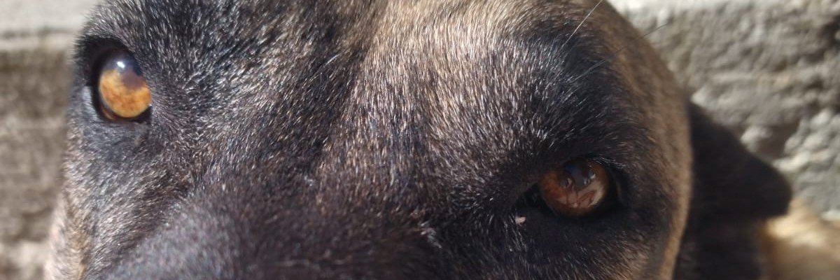 Tuti___88's profile banner image