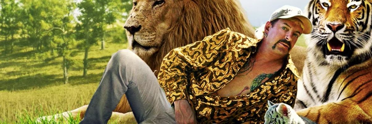 Tiger King Coin banner