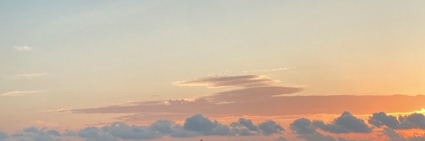🌾's banner