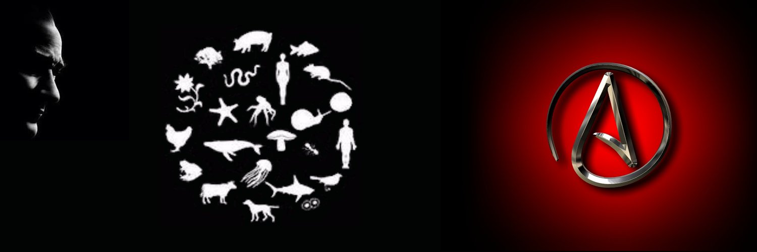 TcDevMil's profile banner image