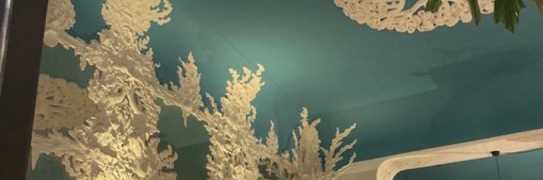 rhode island foot care banner