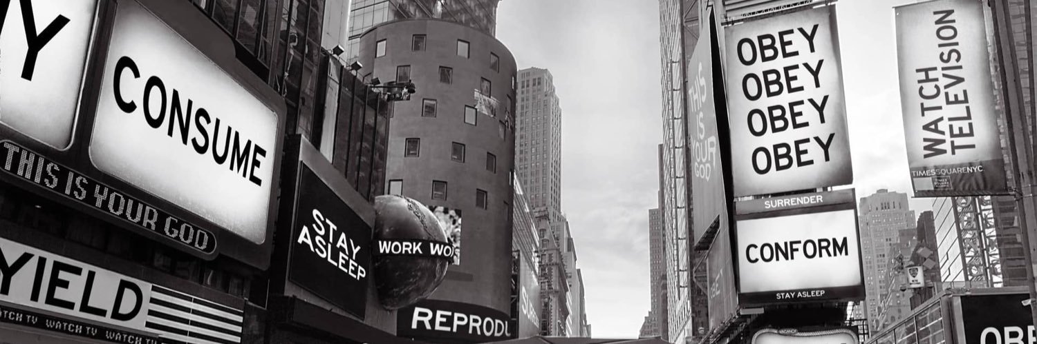 caitybird's profile banner image