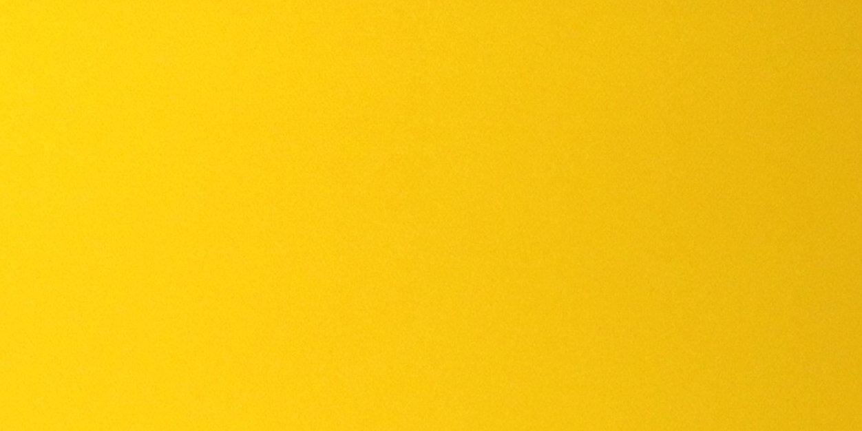Eve Hutton banner