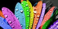 Janiew98's profile banner image