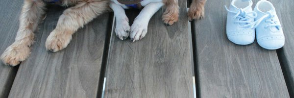 fisiobell Profile Banner