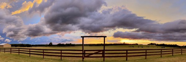 CartJayCox Profile Banner