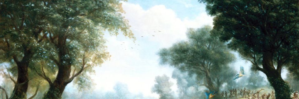Spirit Maxxx banner