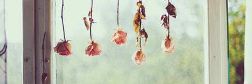 IsabelNieto9's profile banner image