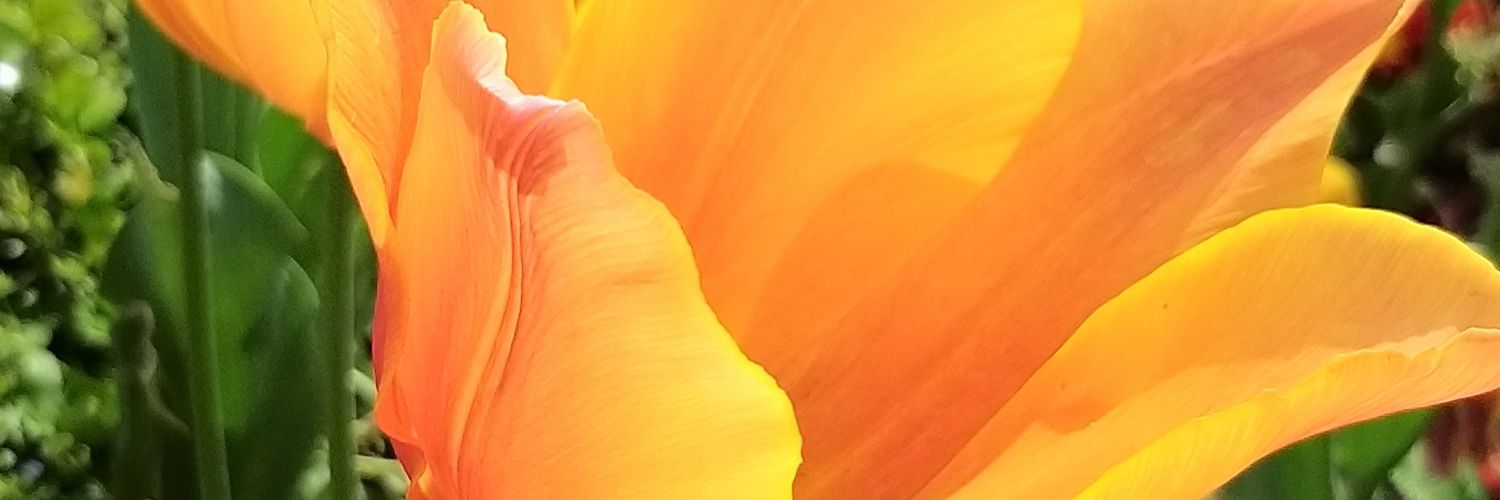 cgdmovic's profile banner image