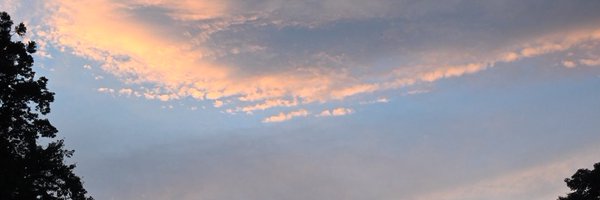 zonneblomhoofd Profile Banner