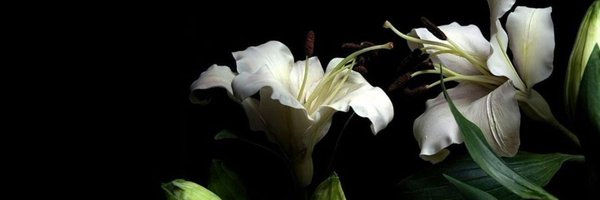 dulcesite Profile Banner