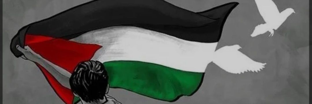 🍉🇯🇵🎌Asad farm in Gaza🍉🇵🇸's banner