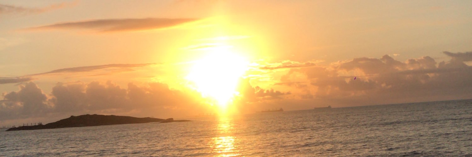pevidorjoyce's profile banner image