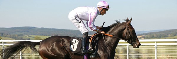 RocSteven Profile Banner