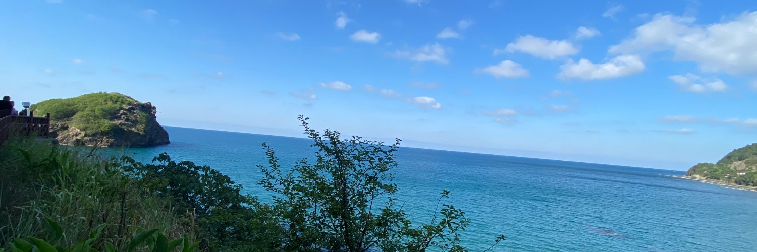 Ferhat Gürsoy banner