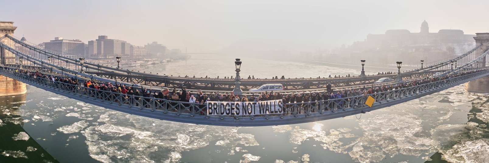 Alexandru D. Moise banner