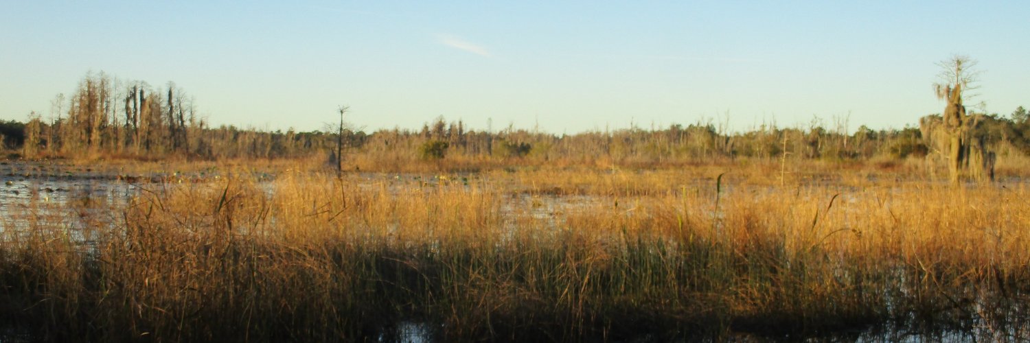 Jason the commenter banner