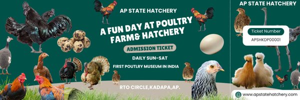 apstatehatchery Profile Banner