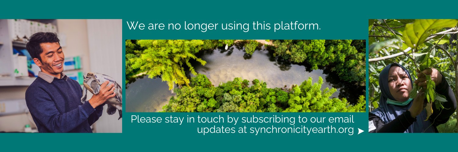 Synchronicity Earth banner