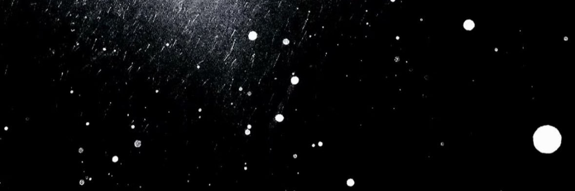 𝑾𝑰𝑳𝑫_ banner